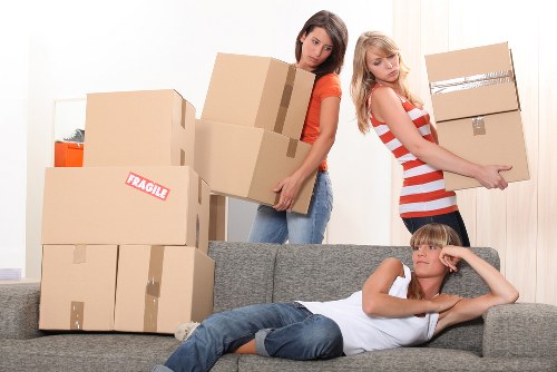 Cardboard cartons and protective packing materials in Bayswater